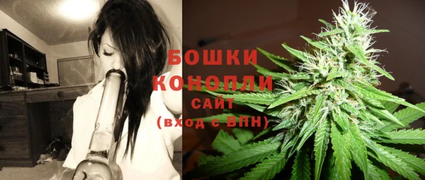 a pvp Шали