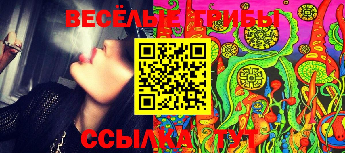 Псилоцибиновые грибы MAGIC MUSHROOMS Раменское