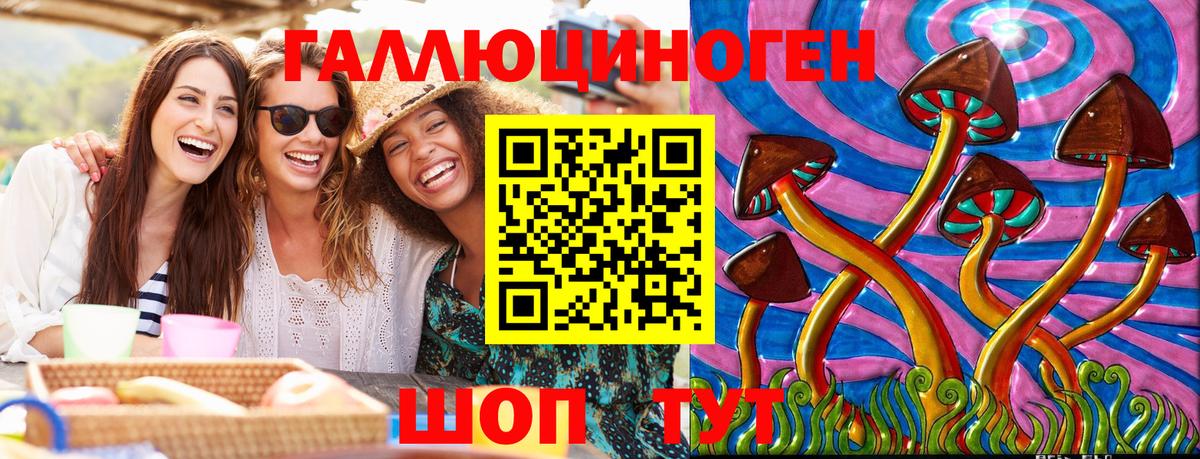 Галлюциногенные грибы MAGIC MUSHROOMS  Вход с VPN  сколько стоит  Раменское 